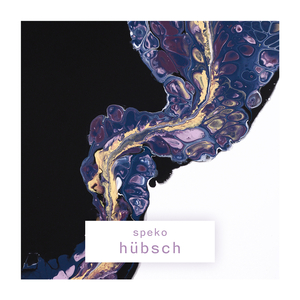 Hübsch