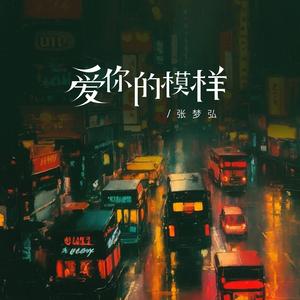 爱你的模样