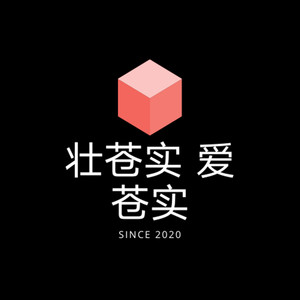 四川省苍溪县实验中学校歌