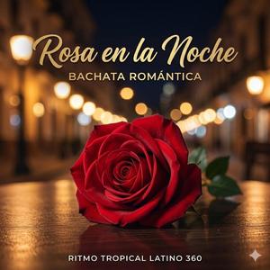 ROSA EN LA NOCHE