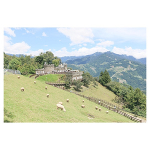 夏天的风（Cover 温岚）