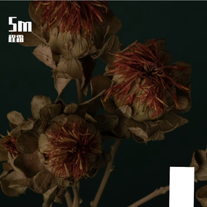 舞萌DX歌曲创作 - 豆包