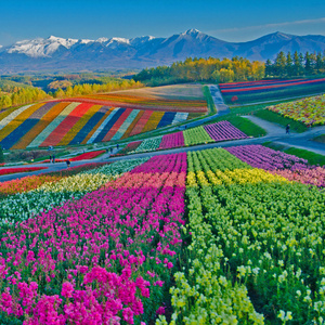 季节