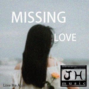 Missing Love（已售）