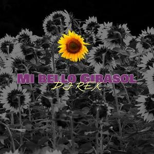 Mi Bello Girasol