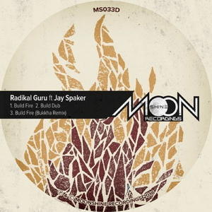 Build Dub (Original Mix)