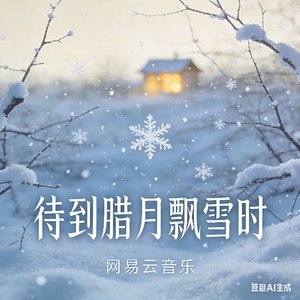 待到腊月飘雪时.mp3