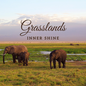 Grasslands