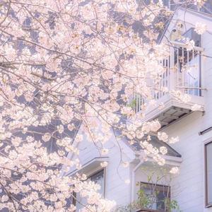 MY BRO（prod by Wolf pack beats）