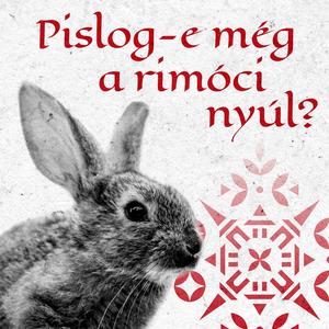 Pislog-e még a rimóci nyúl?