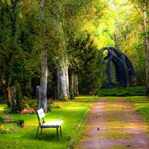 森林上的繁星（舒缓治愈轻音乐）