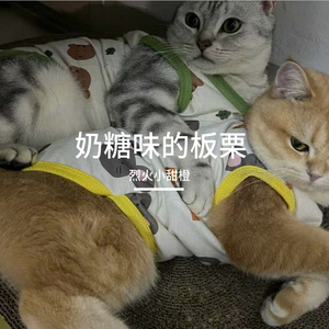 奶糖味的板栗