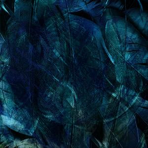 executrix (feat. Dynox Music)