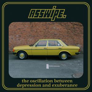 The Oscillation Between Depression and Exuberance