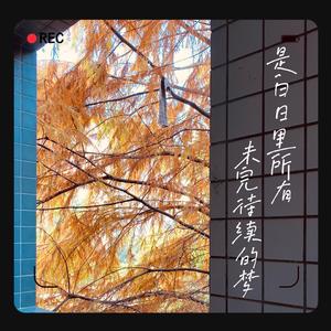 是白日里所有未完待续的梦