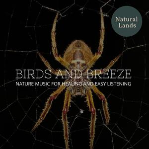 Gentle Beach Wave Music