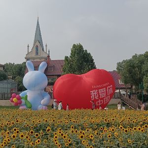 慢慢懂了(重录版)