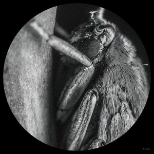 La Fin Du Quatrieme Mur