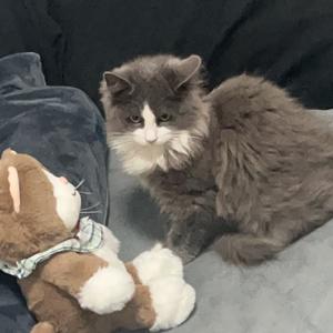 Evks.再给我两分钟