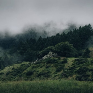 时间没有让我忘记你
LOST
我怀念的