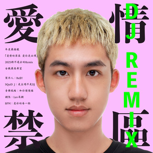 爱情禁区 (DJ版)