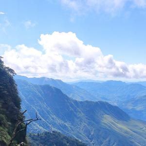 4月1日下午9点25分_2022-04-01_213134