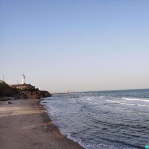 太平洋西岸的歌