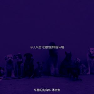 微妙的放松的狗心情
