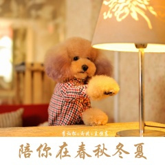 无法忘记你 (DJ版)