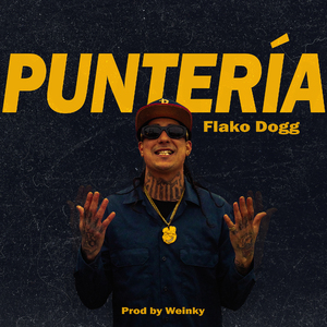 Punteria