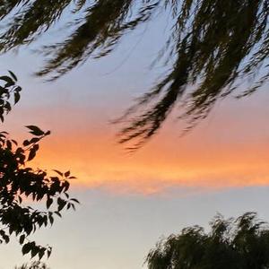 我将春风酿成酒