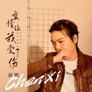 爱情让我受了伤