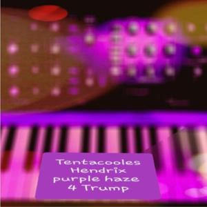 Tribute to Hendrix The Star Spangled Banner and Purple Haze dedicated to Donald Trump