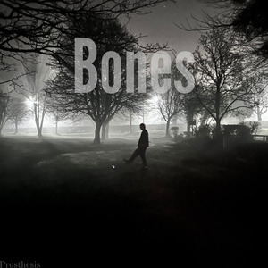 Bones