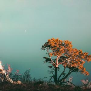 相爱分开都是罪