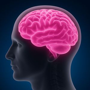 Rinnovamento dell’anima