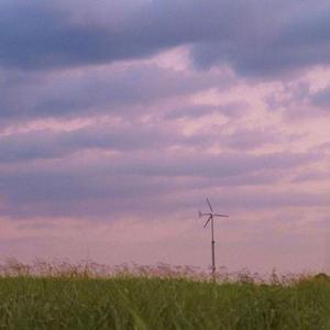 在慵懒的午后失眠