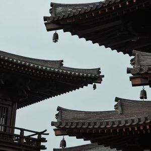 檐下声（琴声告诉山河）