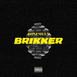 Brikker