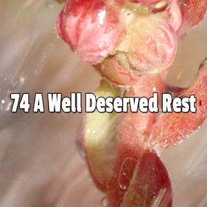 Rain On A Hot Tin Roof