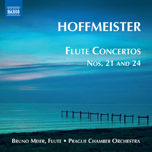 Flute Concerto No. 24 in D Major:III. Rondo: Moderato
