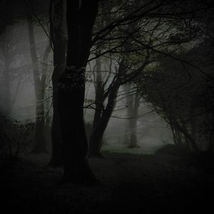 看见一切 pord.求索4