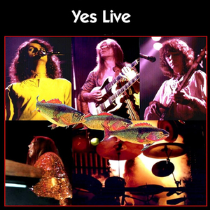 Long Distance Runaround: The Fish (Schindleria Praematurus)