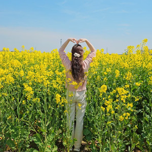 油菜花