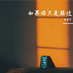 如果你只是经过