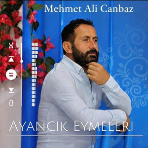 Ayancık Eymeleri