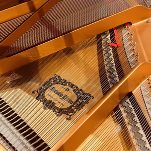 わたしはピアノ☆ (７魔法ver♫)