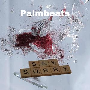 Say Sorry