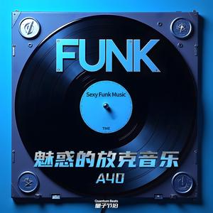 魅惑的放克音乐-Sexy Funk Music A40 16055