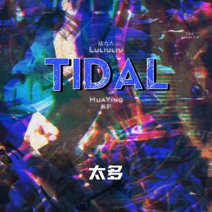 太多Tidal
